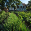 What’s unique about accessing land to farm in urban settings? LFG-UrbanFarming-Dorchester-photo-credit-EcoPhotography