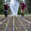 One farming couple’s exciting journey to land ownership Patch-Farm-slitted-cover-action-photo-credit-Patch-Farm