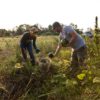 The younger generation in farm succession peck-photo-10web