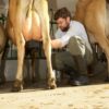 Dairy succession efforts get boost from grant photo credit: Taylor Hooper Photography, Benedikt Dairy (Goffstown, NH)