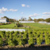 38% of farmers in Connecticut rely on leased farmland Common License - flickr by Chiot's Run (24)