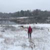 Great hope for High Hopes Farm farmer-snowy-pasture-photo-credit-high-hopes-farm-llc-bristol-maine