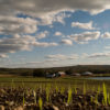 Request for proposals: 2019 Farmland Access & Transfer Conference Farmland-Access-Transfer-Conference-2019-photo-credit-MFT